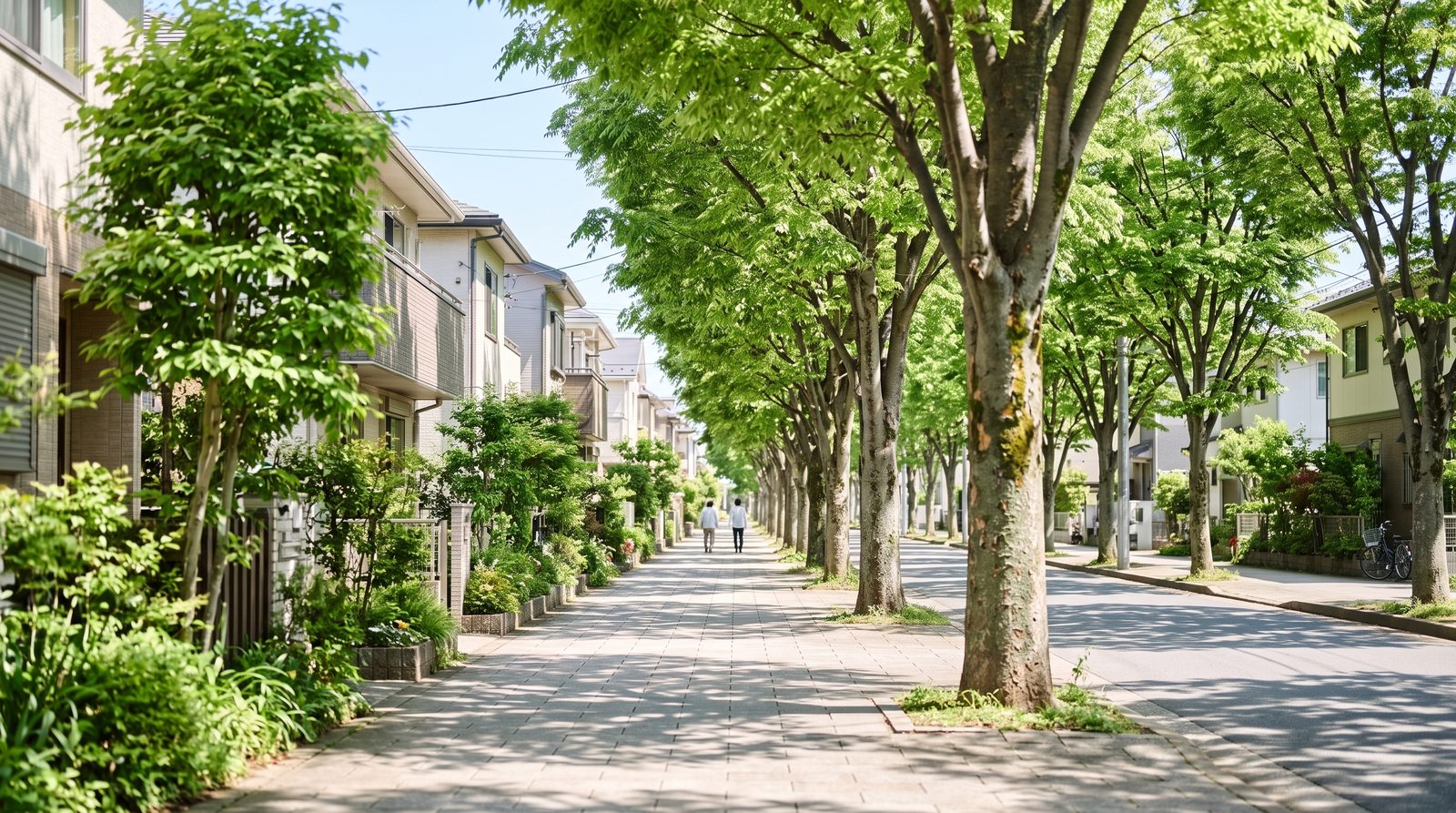 ケヤキの街路樹が続く広い歩道